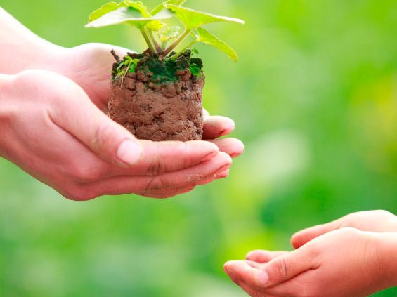 lakeside financial estate planning